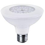 LED Food Lamp Par30
